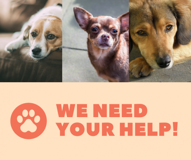 We Need Your Help!